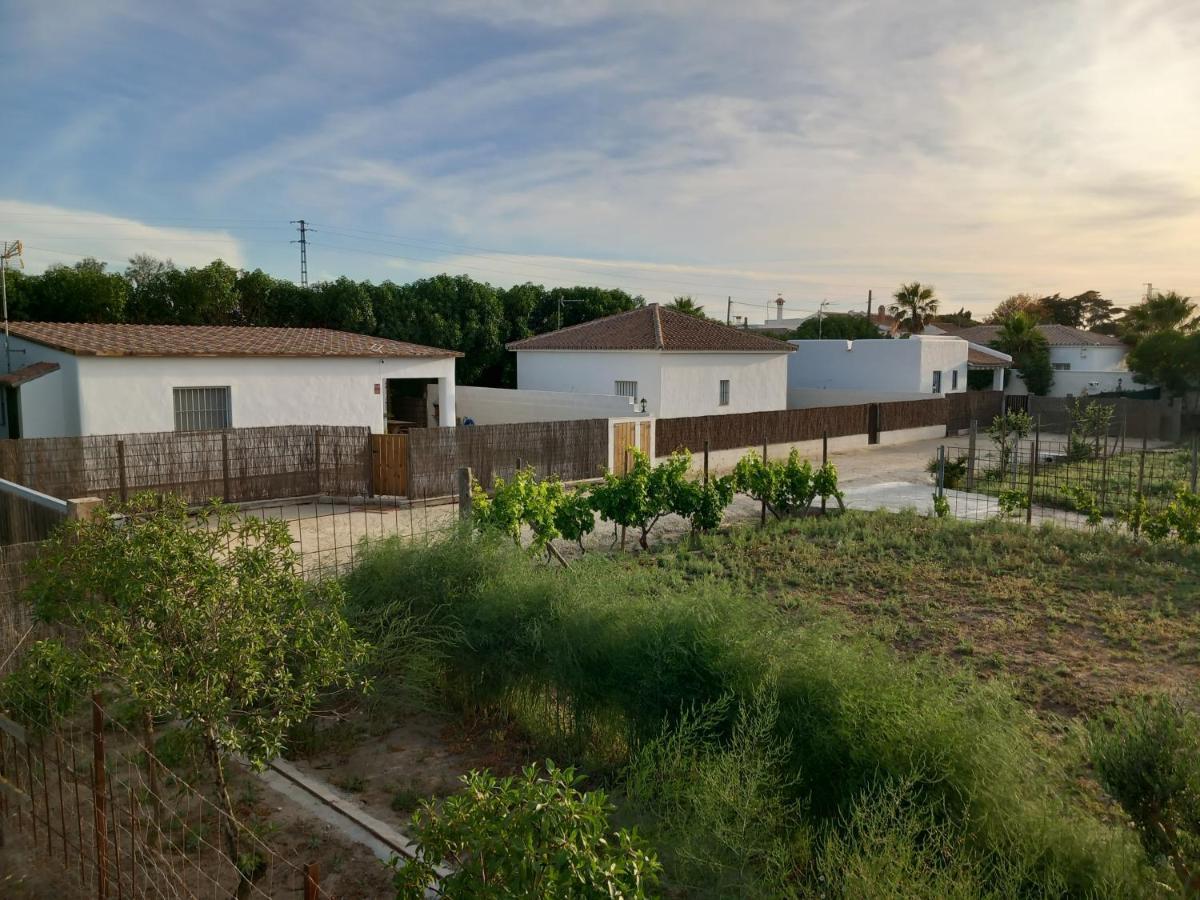 Apartamentos Cala Isabel زاهورا المظهر الخارجي الصورة
